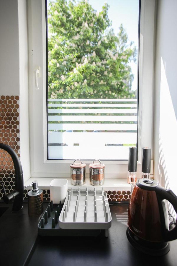 Apartament Szaro Na Bialym วาดีสวาโวโว ภายนอก รูปภาพ